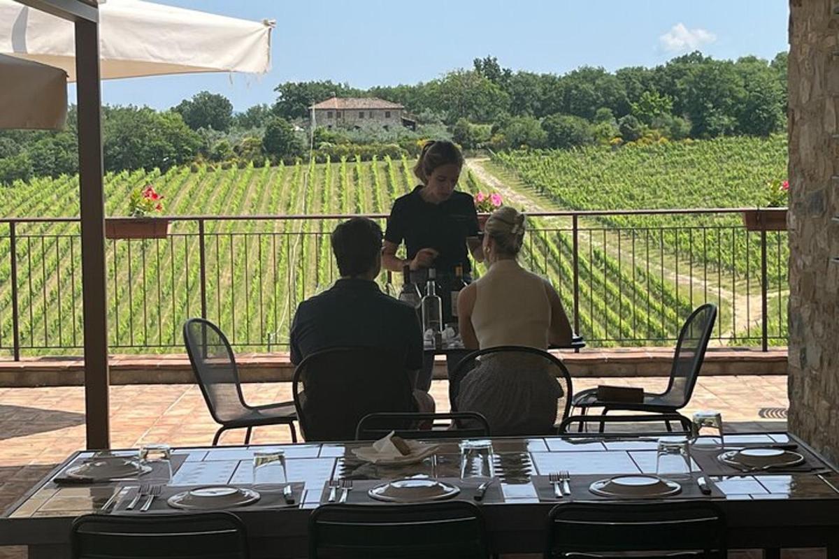 skupina lidí sedících u stolu před vinicí