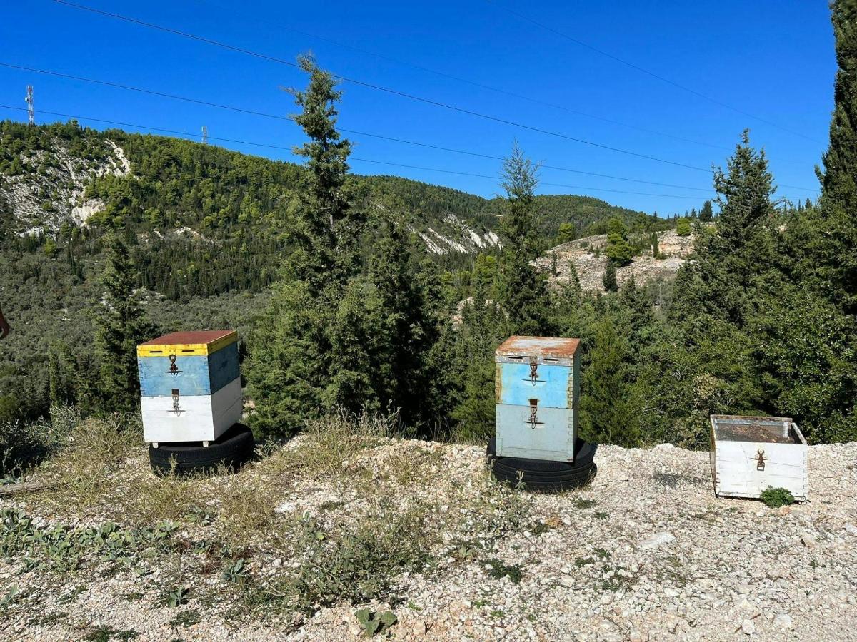 three beehives sitting on top of a hill