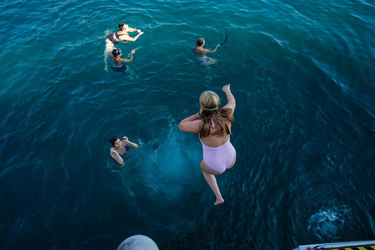 sekumpulan orang berenang di dalam air