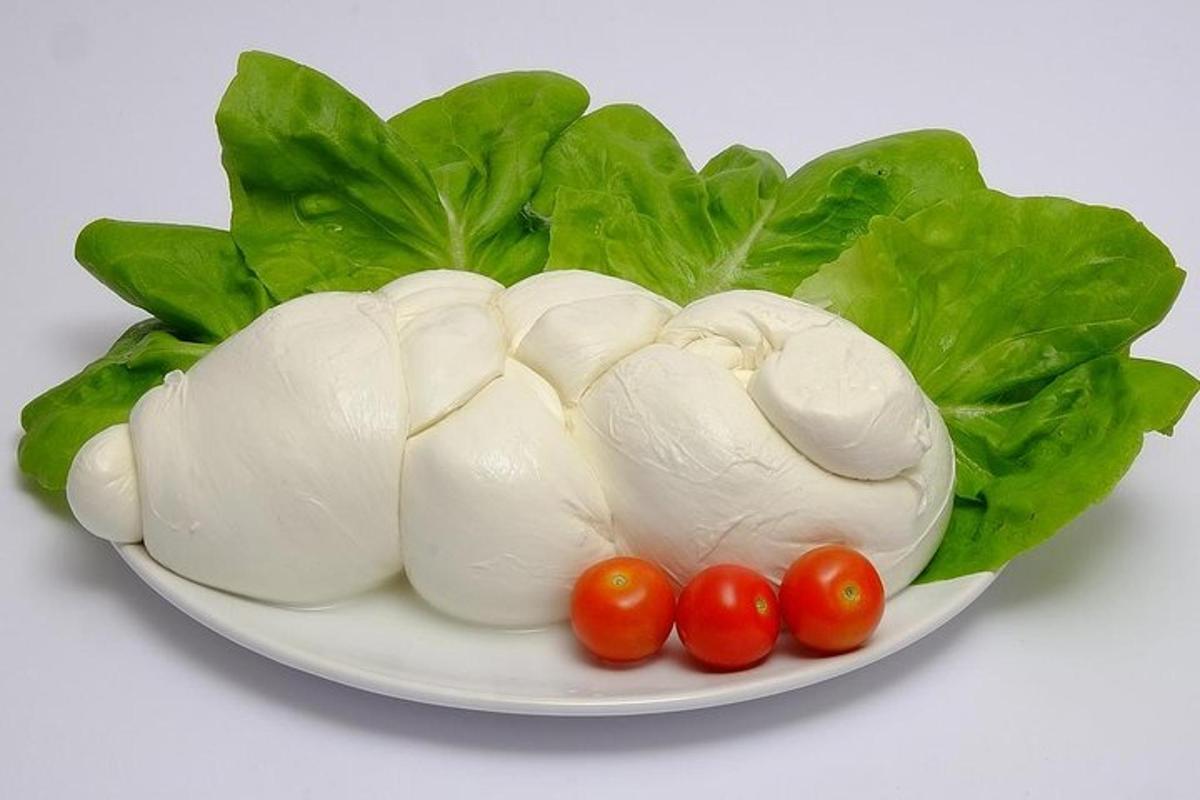 un plat d'enciam i tomàquets sobre un fons blanc