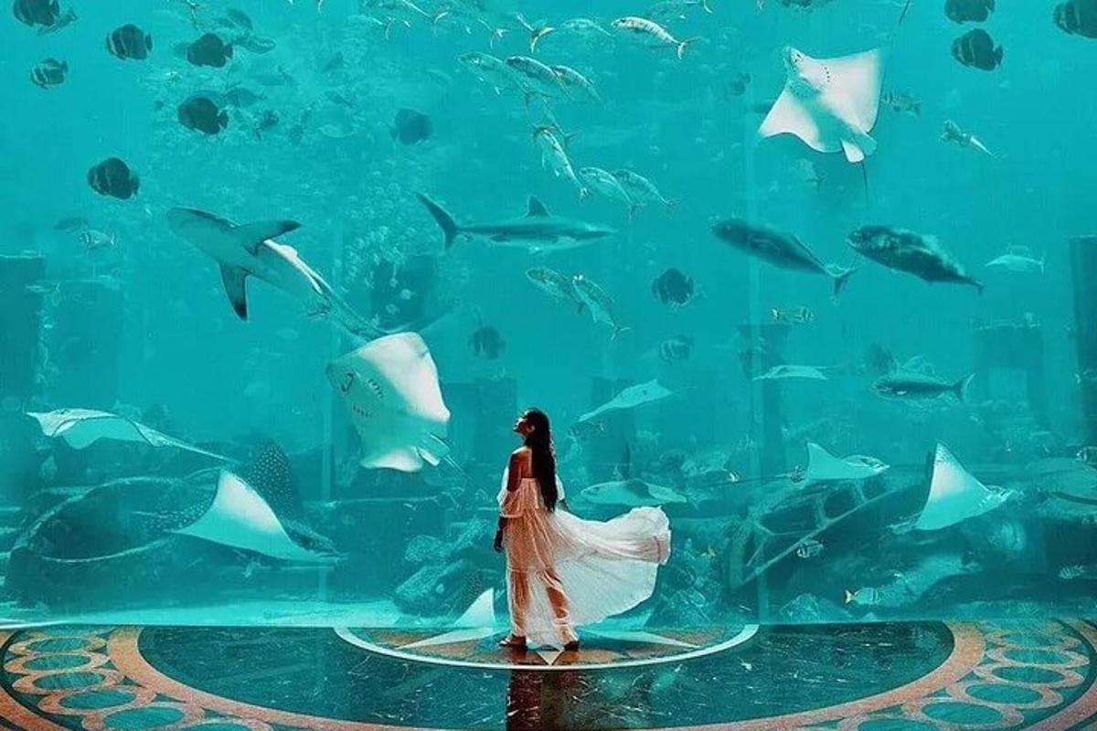 a woman in a dress standing in front of an aquarium