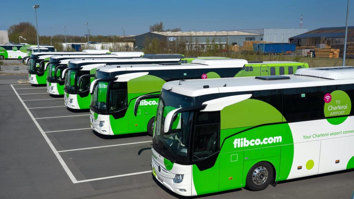 Una fila de autobuses verdes estacionados en un estacionamiento