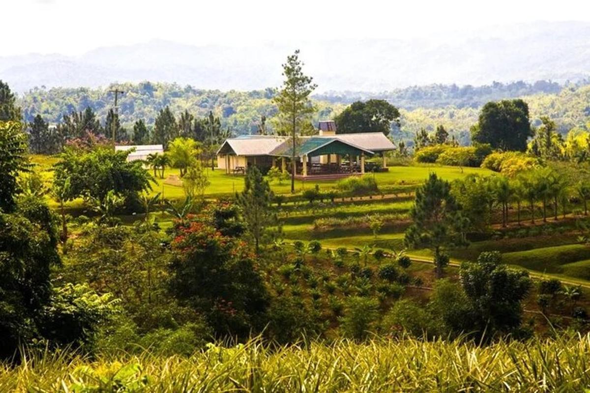 Un jardín con una casa en medio de un campo.