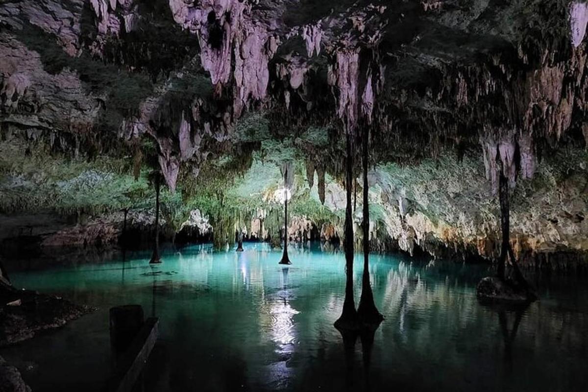 una grotta piena d'acqua con alberi al suo interno
