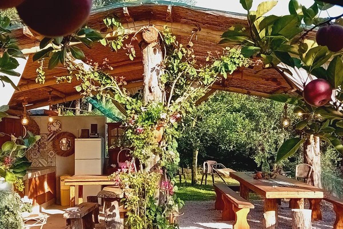 egy fából készült pergola egy fából készült asztallal és egy piknikasztallal