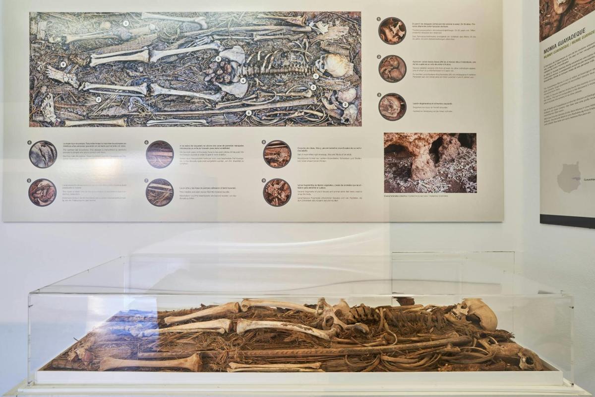 una mostra in una teca di vetro in un museo