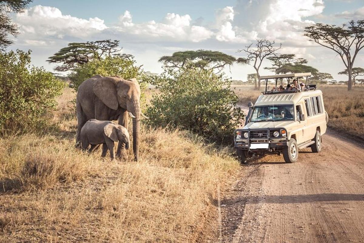 a vehicle driving down a dirt road with an elephant and a baby elephant