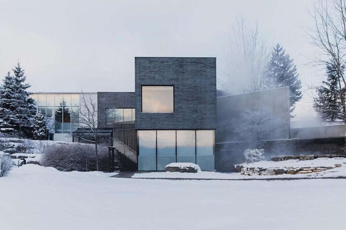 uma casa na neve com árvores e neve