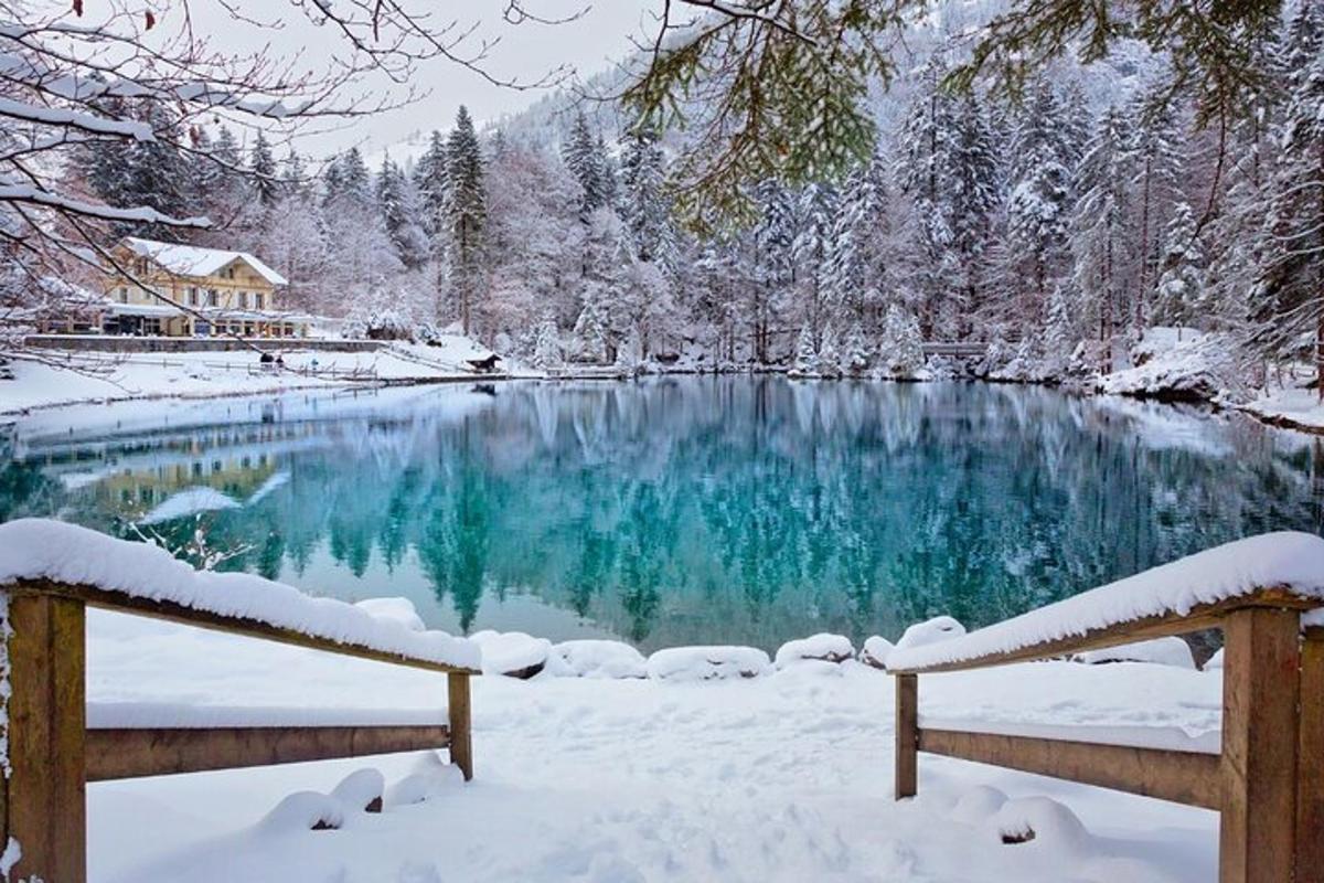un lac recouvert de neige à côté d'une forêt