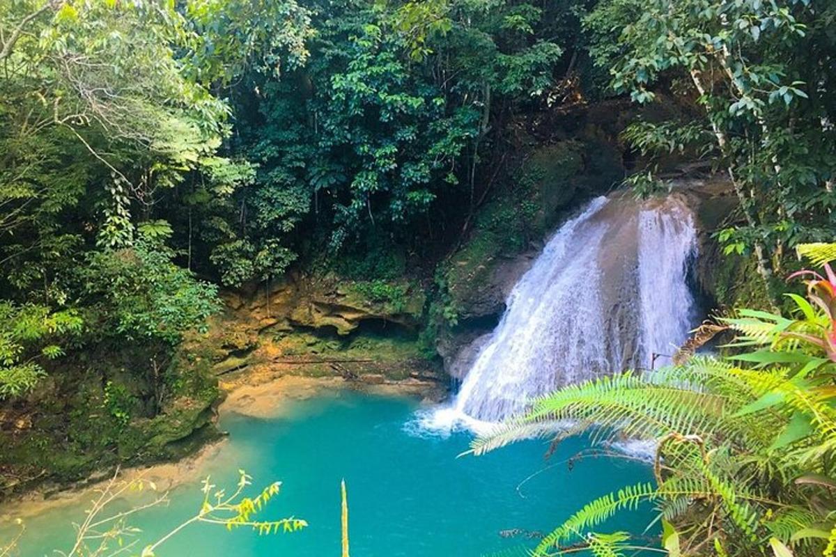 a waterfall and a pool of water in a forest