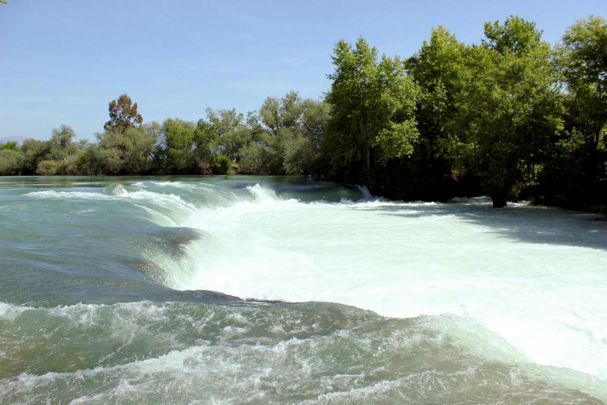 a river with white water and trees in the background