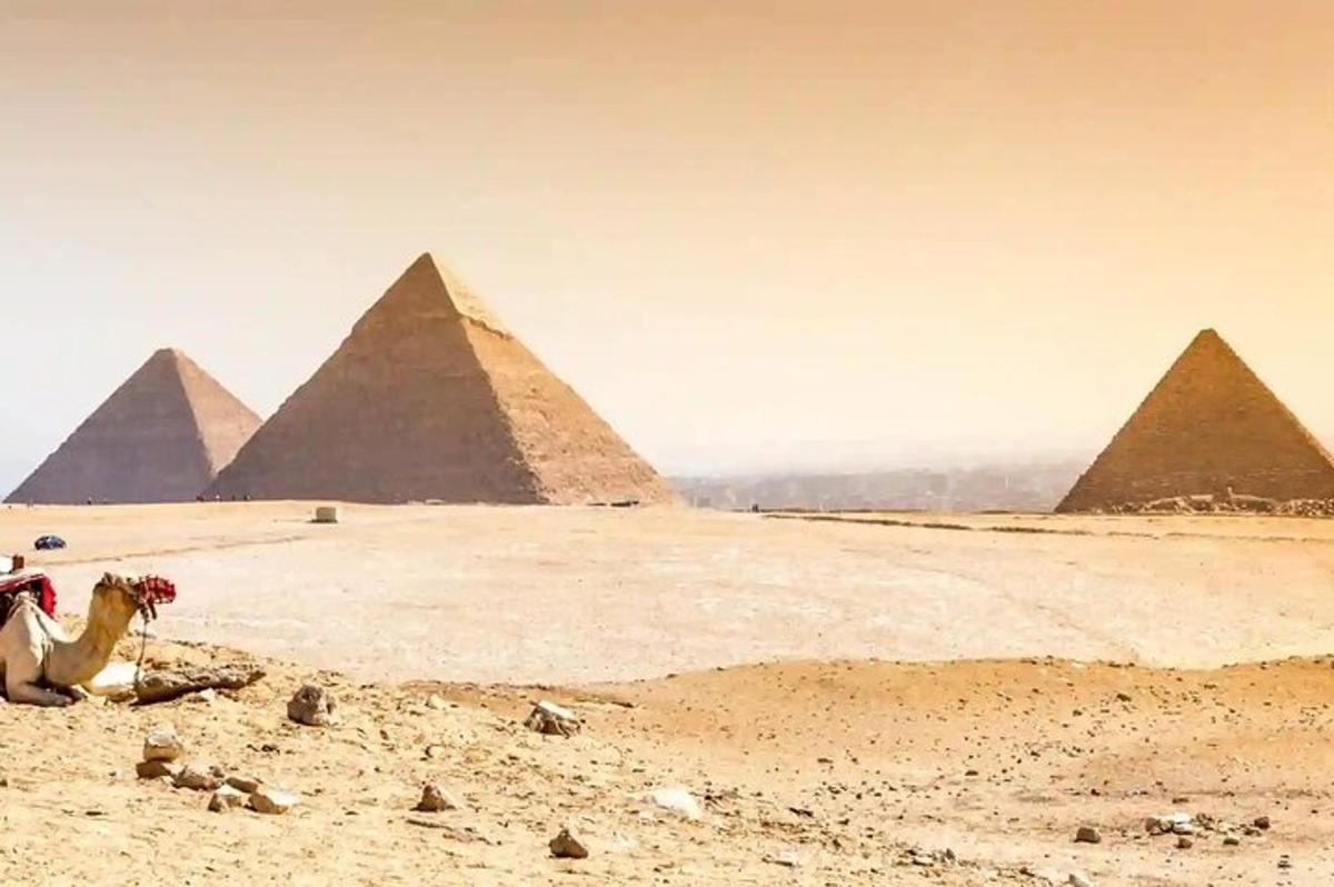 en kamel sitter foran pyramider i ørkenen