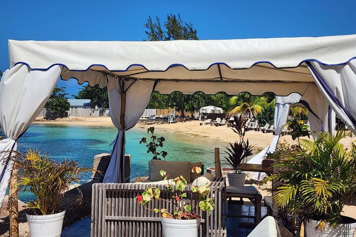 a gazebo on a beach with plants in pots