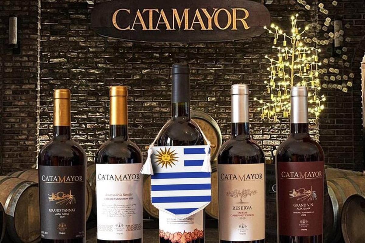 um grupo de garrafas de vinho sobre uma mesa