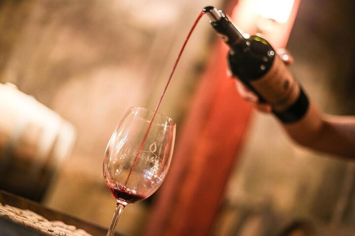 uma pessoa está despejando vinho em uma taça de vinho