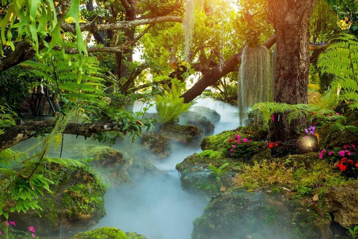 een beek in een tuin met een waterval en planten