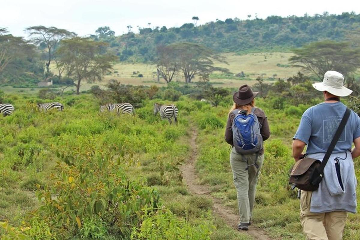 un uomo e una donna che camminano lungo un sentiero sterrato con le zebre