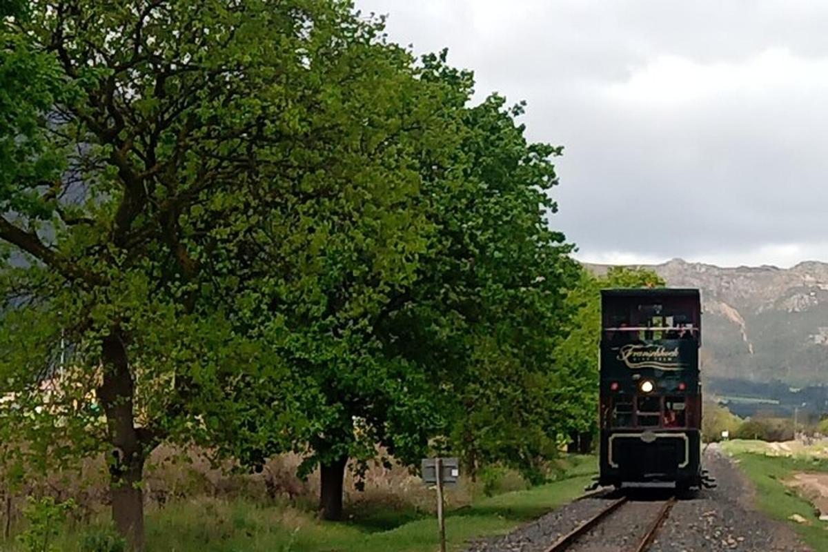 un treno che viaggia lungo i binari accanto agli alberi