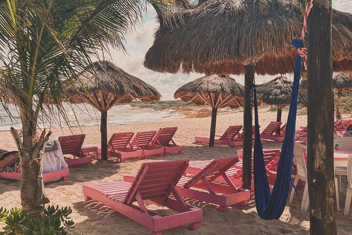 Un grupo de sillas y sombrillas en una playa.