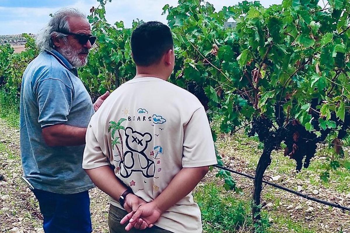 a man standing next to a man in a vineyard