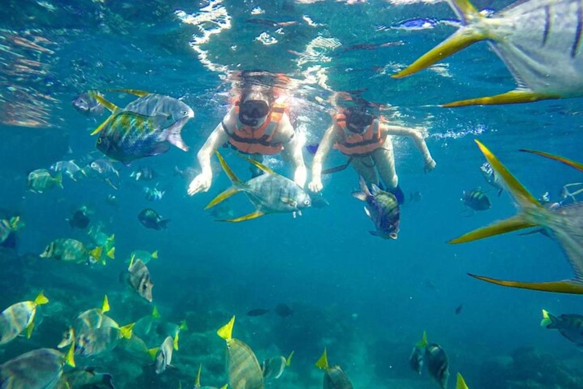 zwei Menschen schwimmen mit Fischen im Wasser