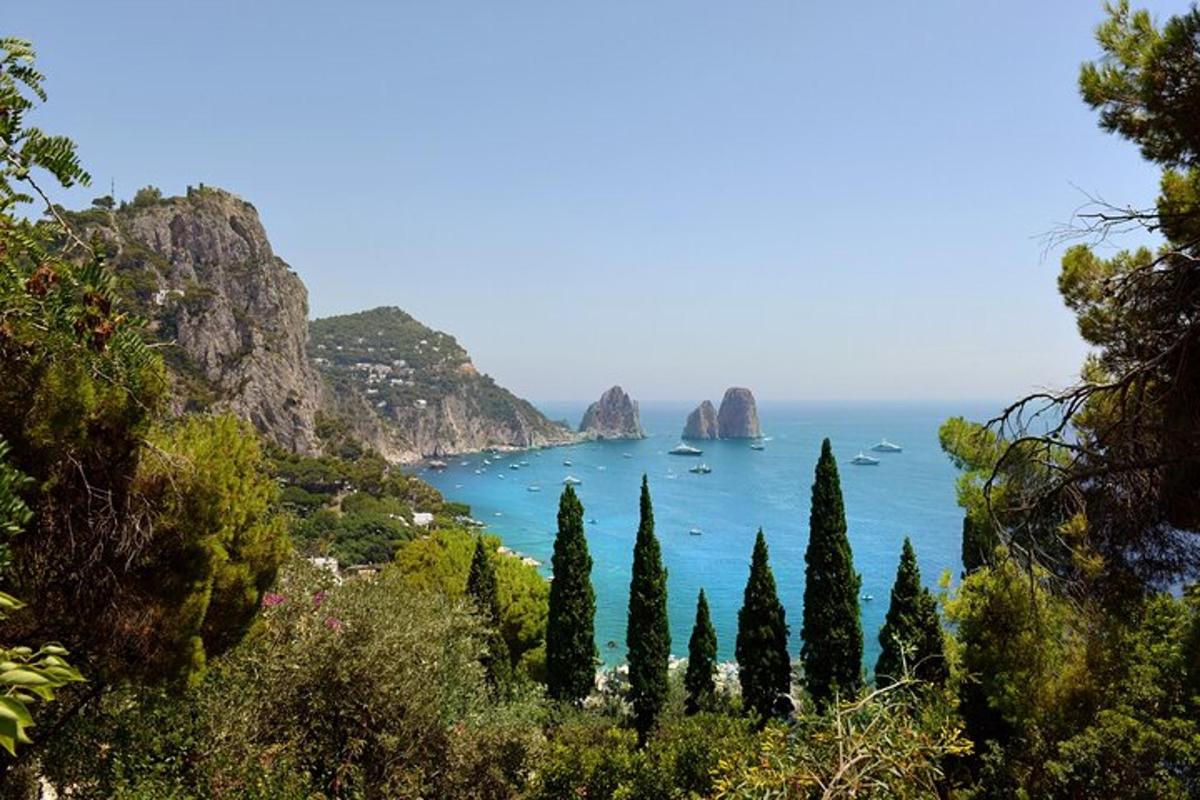 una vista d'una massa d'aigua amb arbres i roques