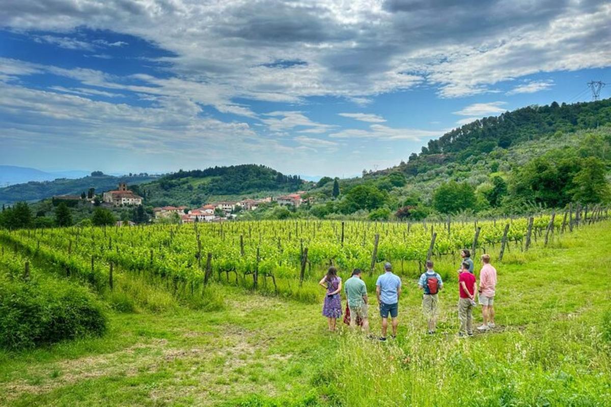 un groupe de personnes marchant dans un vignoble