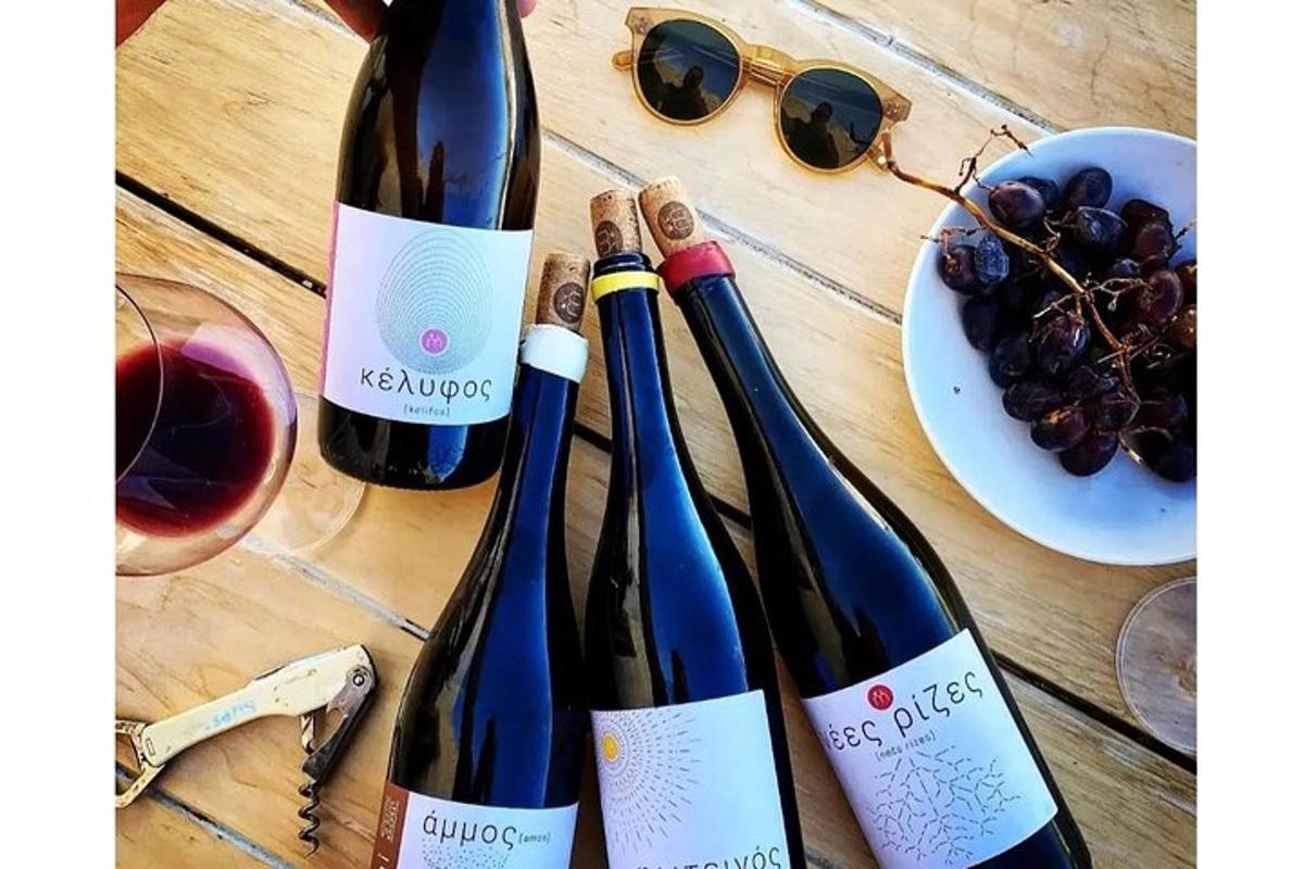 due bottiglie di vino su un tavolo con l'uva
