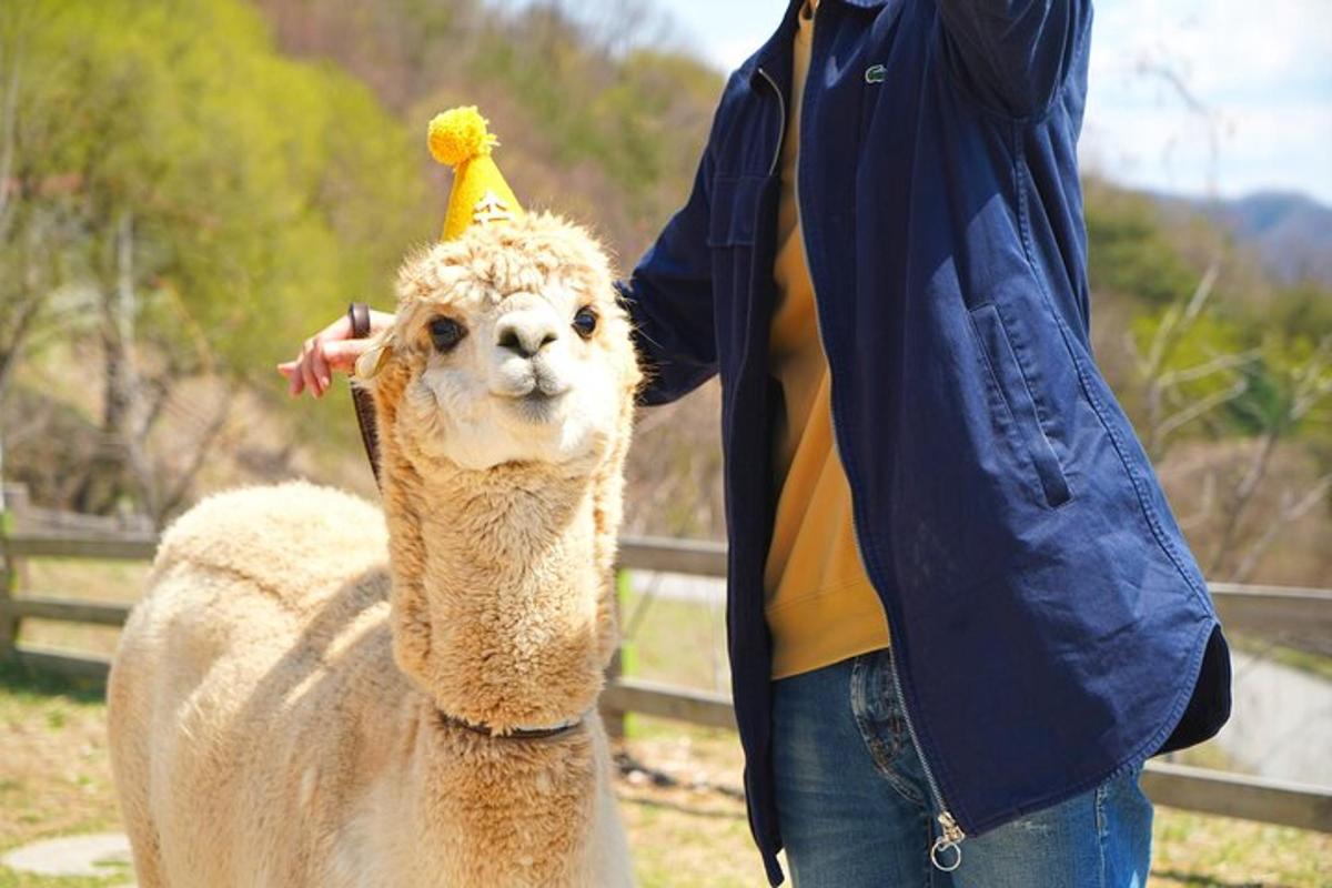 투어 액티비티 사진 7번
