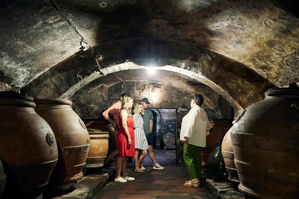 Un grupo de personas de pie en un túnel con barriles de vino.
