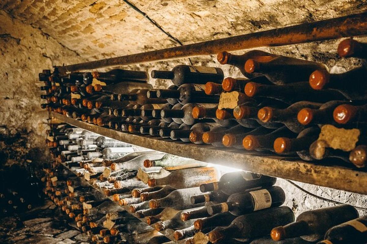 Un montón de botellas de vino en una bodega