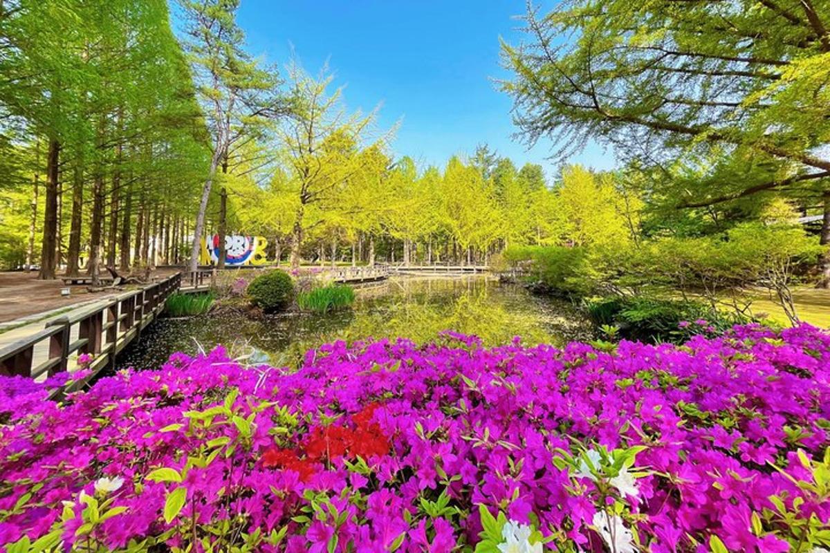 ภาพถ่ายสิ่งที่น่าสนใจภาพที่ 5