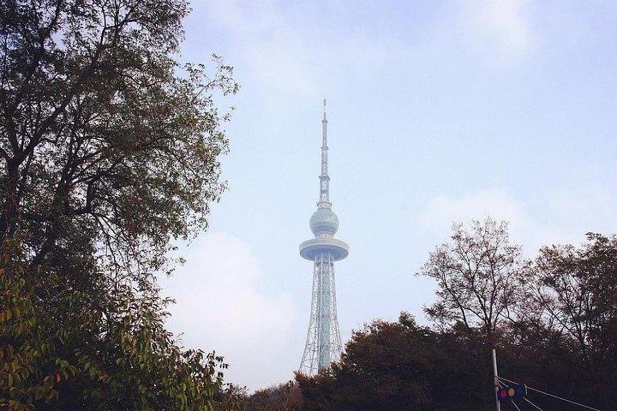 a tv tower in the sky with trees in the foreground