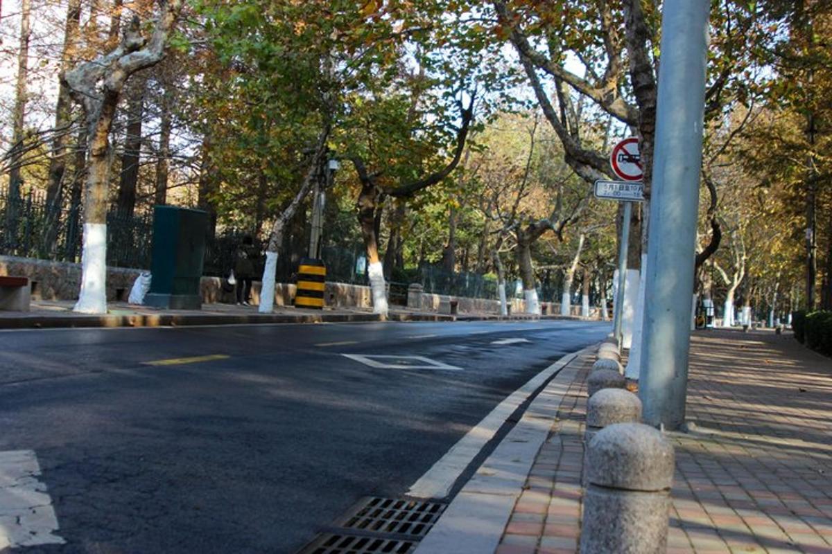 an empty street with trees on the side of the road