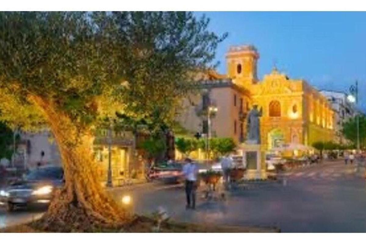un home caminant per un carrer a prop d'un arbre