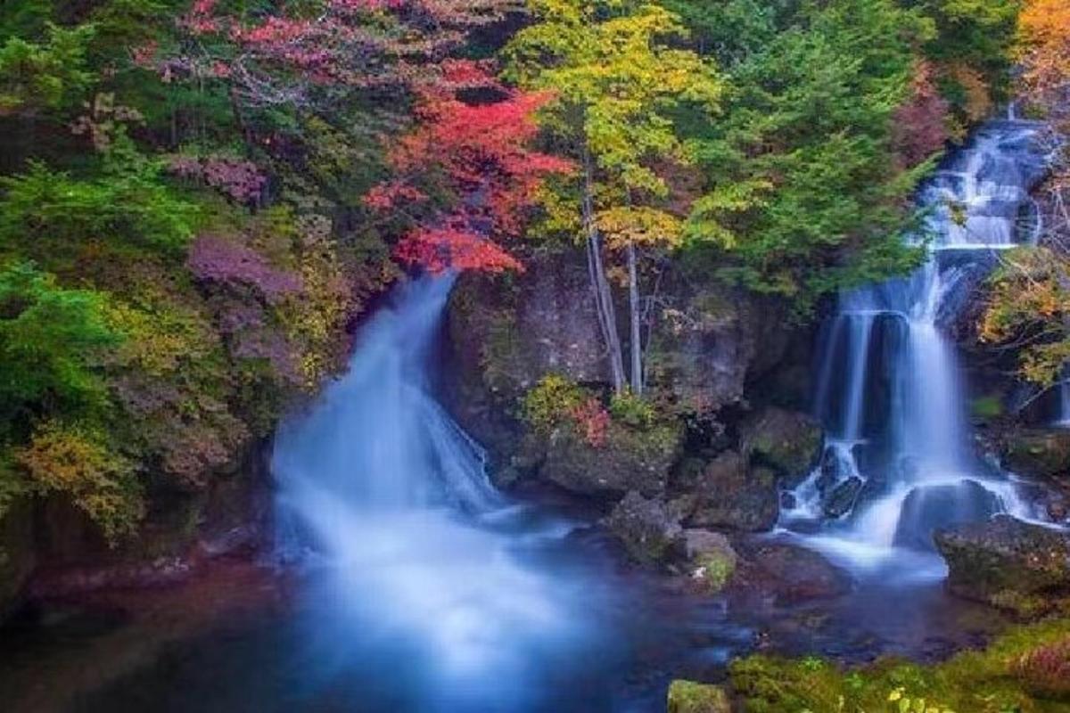a waterfall in the middle of a river with trees