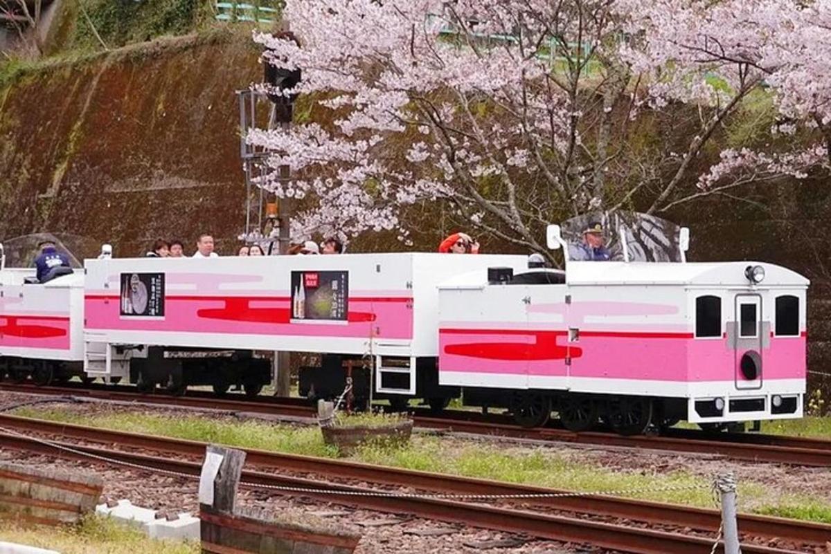 kereta api merah jambu dan putih di landasan