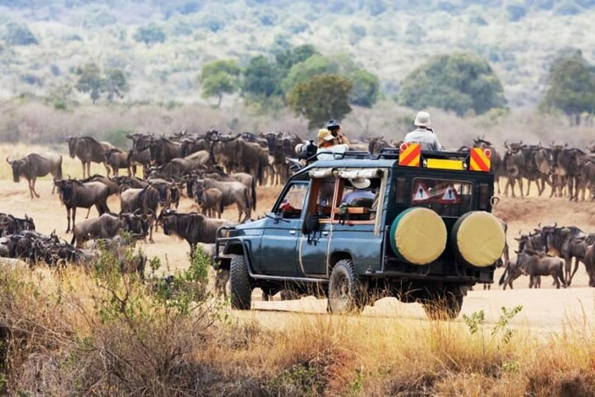 a group of people in a jeep with a herd of animals