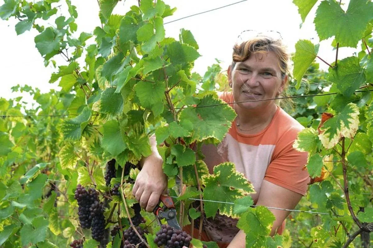 Osez le vin d'Alsace au féminin – photo 2