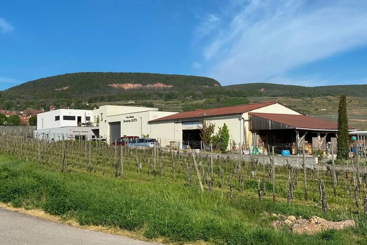 Kellerbesuch und Verkostung für Frauen - Gourmetpaket – Foto 6