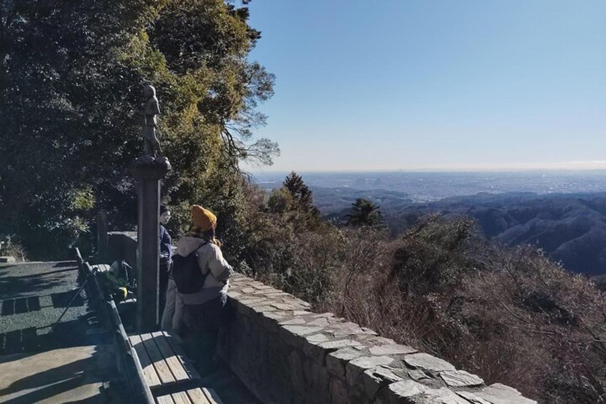 a person standing on a wall looking at the view