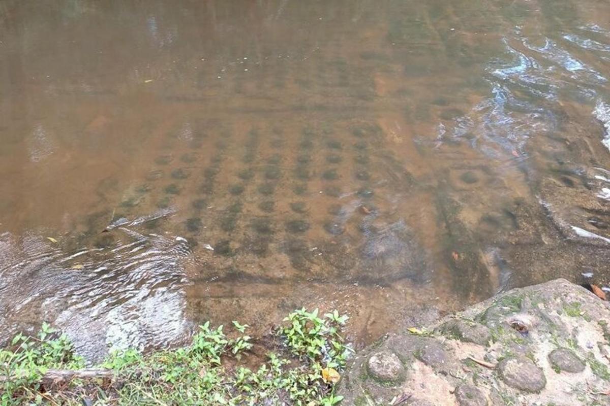 seekor buaya di dalam air dengan kepalanya di dalam air