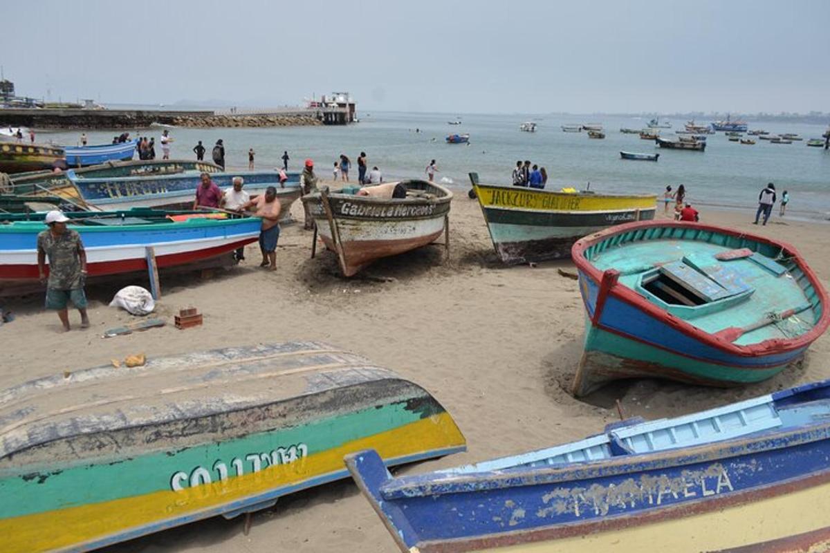 Un grupo de barcos sentados en la playa