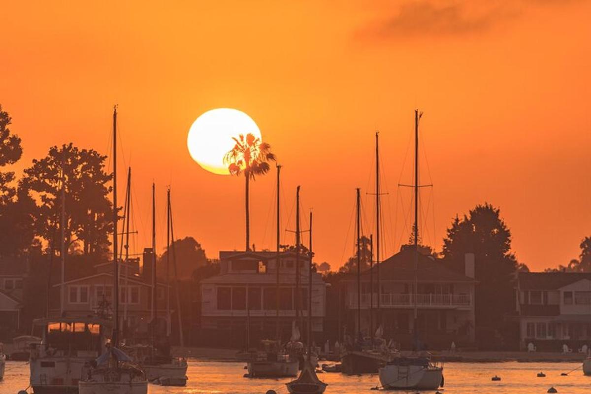 un tramonto su un porto con barche e una palma