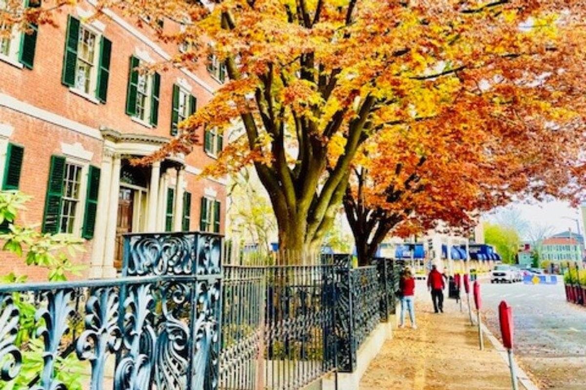 a tree with orange leaves next to a building