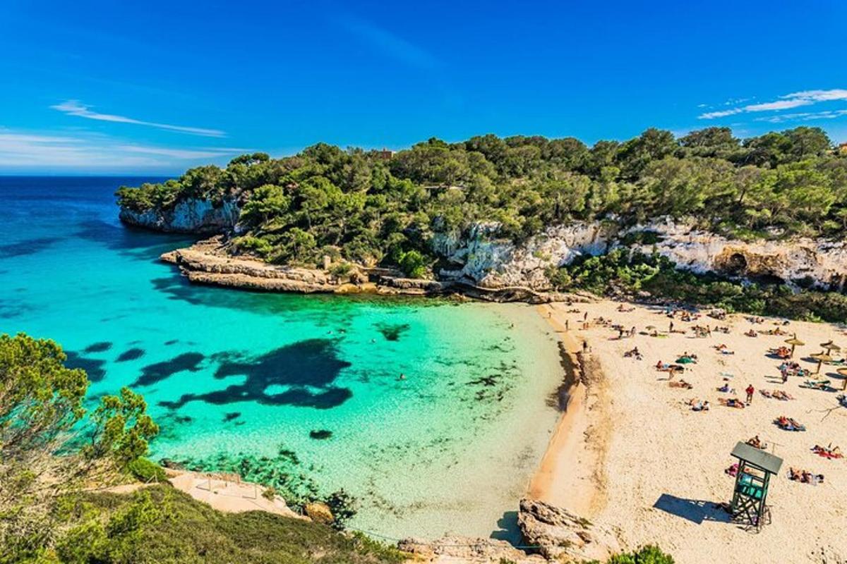 un gruppo di persone su una spiaggia in acqua