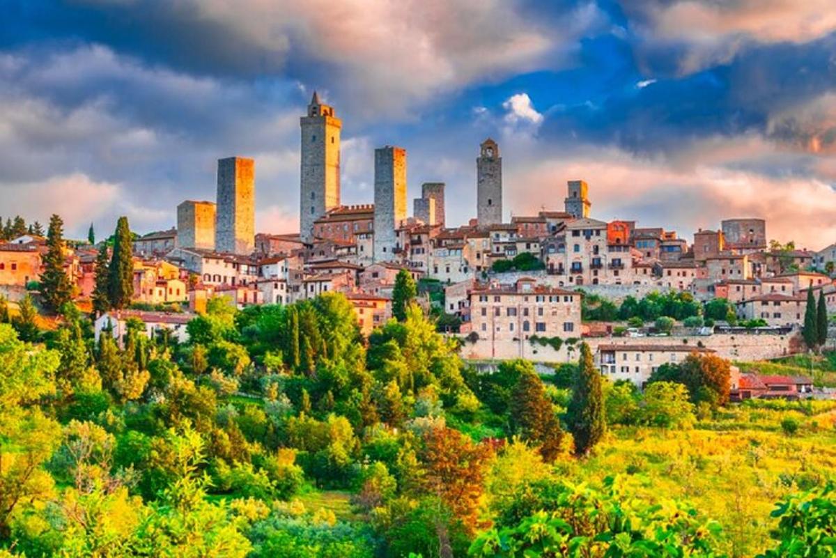 una vista d'una ciutat amb edificis alts i arbres
