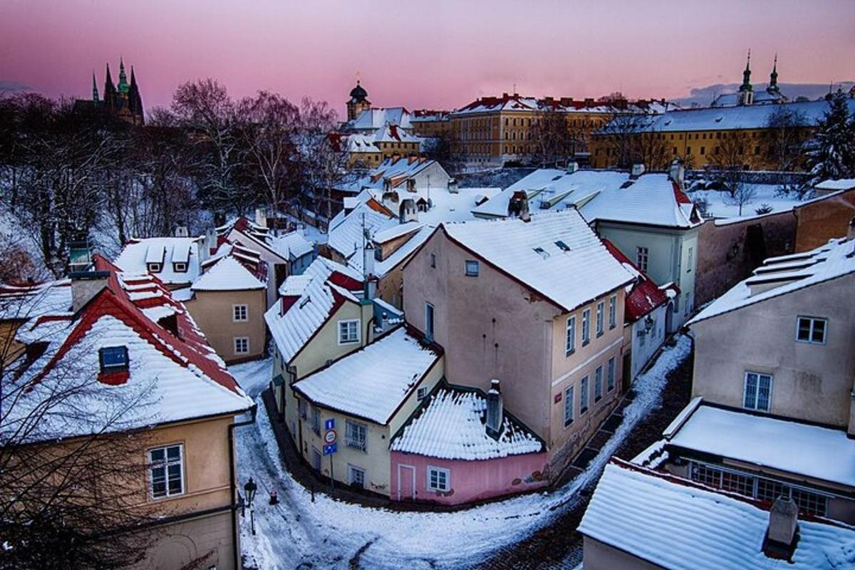 mesto s zasneženimi strehami in stavbami