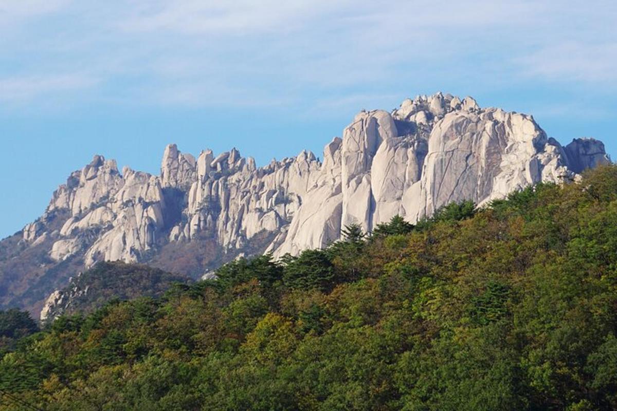 a large rocky mountain with trees in front of it