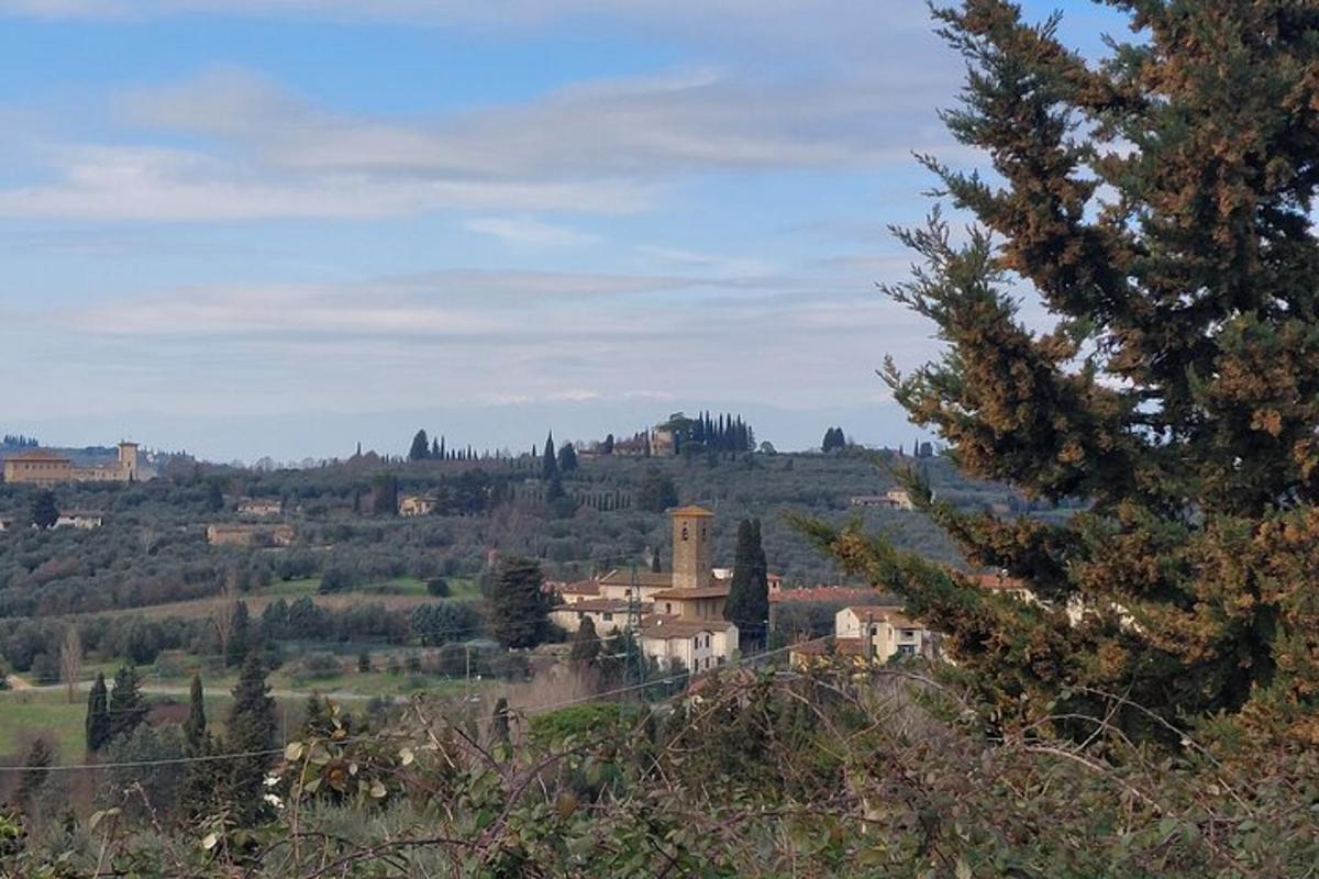 a small town on a hill with a tree